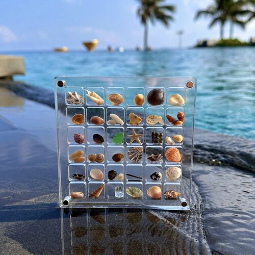 Acrylic Shell Display Box
