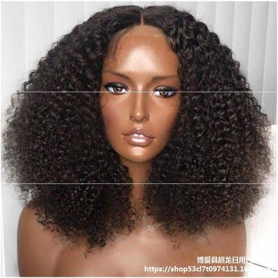 Braids  Cap Afro Curly Wigs Wig Human Hair Brazilian