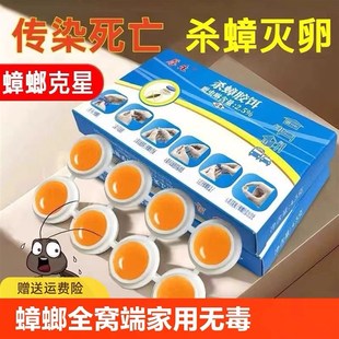 蟑螂药家用一窝端屋神器灭大小通杀饵胶厨房卧室捕捉器无毒除杀死