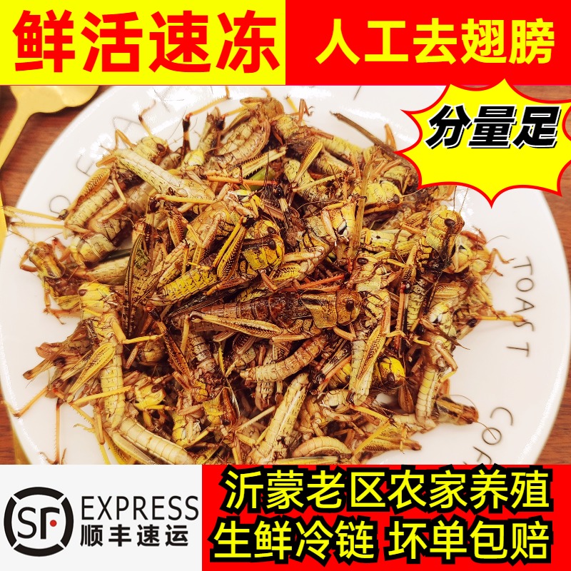 新鲜蝗虫蚂蚱活体速冻公母蚂蚱昆虫美食东亚飞蝗去翅油炸烧烤顺丰-封面