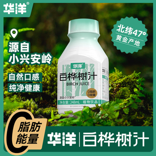 25年新品 10瓶0脂肪0能量整箱饮料 华洋100%白桦树汁植物饮品248ml