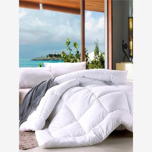 棉被冬化纤冬被 warm quilt winter bed comforter duvet blanket
