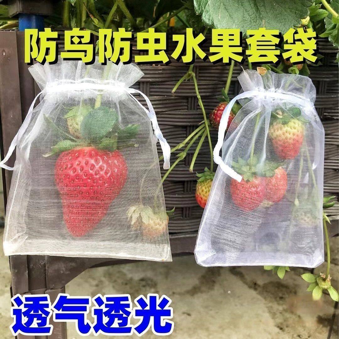 尼龙网透明抽绳防虫喜糖礼品袋