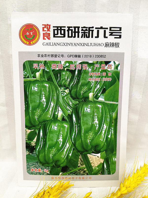 西林蔬菜种子西研新六号麻椒种子大棚陆地种植用种大辣椒5克