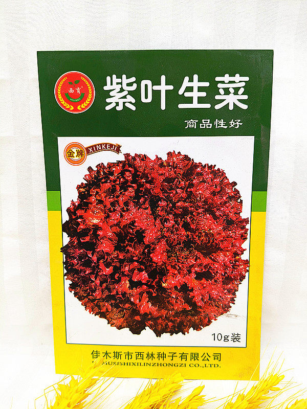 西林种业蔬菜种子 生菜籽 生菜家庭园艺种子