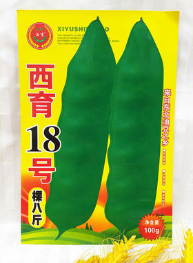 佳木斯西林种子东北油豆角种子籽纯绿色西育18号棵八斤宽大包邮