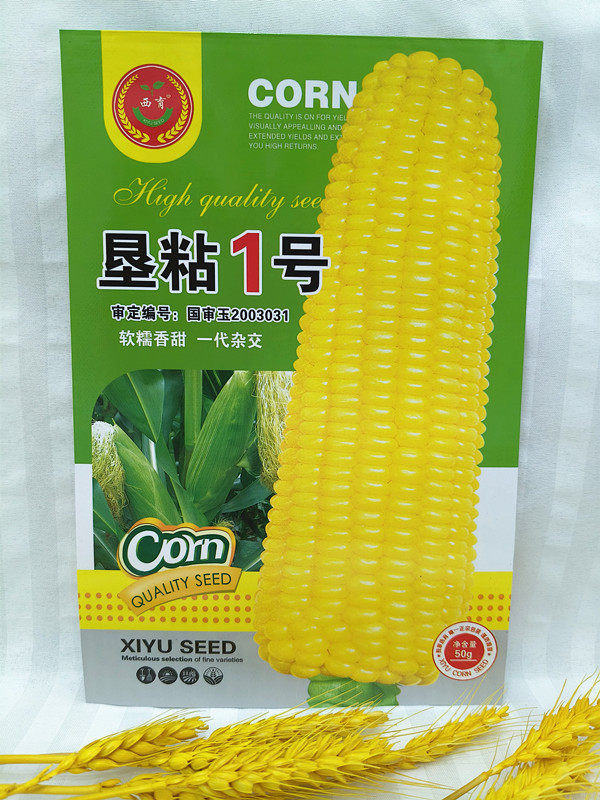 东北特产玉米种子苞米粘黏苞米种子籽垦粘1号种子籽50-150克包邮
