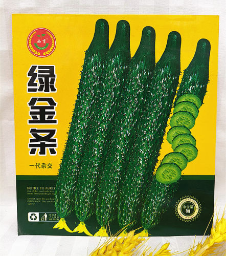 东北蔬菜刺黄瓜种子春季绿金条绿瓤水黄瓜种籽耐高温5克小园种植