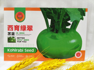 西林蔬菜种子腌咸菜用苤蓝疙瘩人头疙瘩西育绿翠脆香20克 包邮