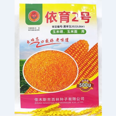 黑龙江玉米种子笨玉米磨碴子苞米种子籽玉米面用依育2号500克晚熟