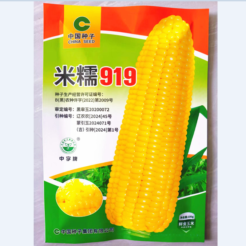 黑龙江粘玉米种子黏苞米鲜食玉米种子米糯919黄玉米籽100-500克