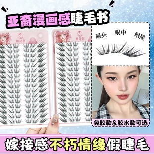 柳琵琶不朽情缘假睫毛新款 新手睫毛书 之恋免胶自粘自然超软胶水款