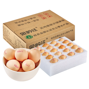 无激素谷物饲养无腥味24小时内新鲜鸡蛋20枚鲜鸡蛋顺丰包邮