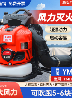 汽油吹风机背负式四冲程鼓风机吹灰尘环卫树叶工业用大功率吹雪机