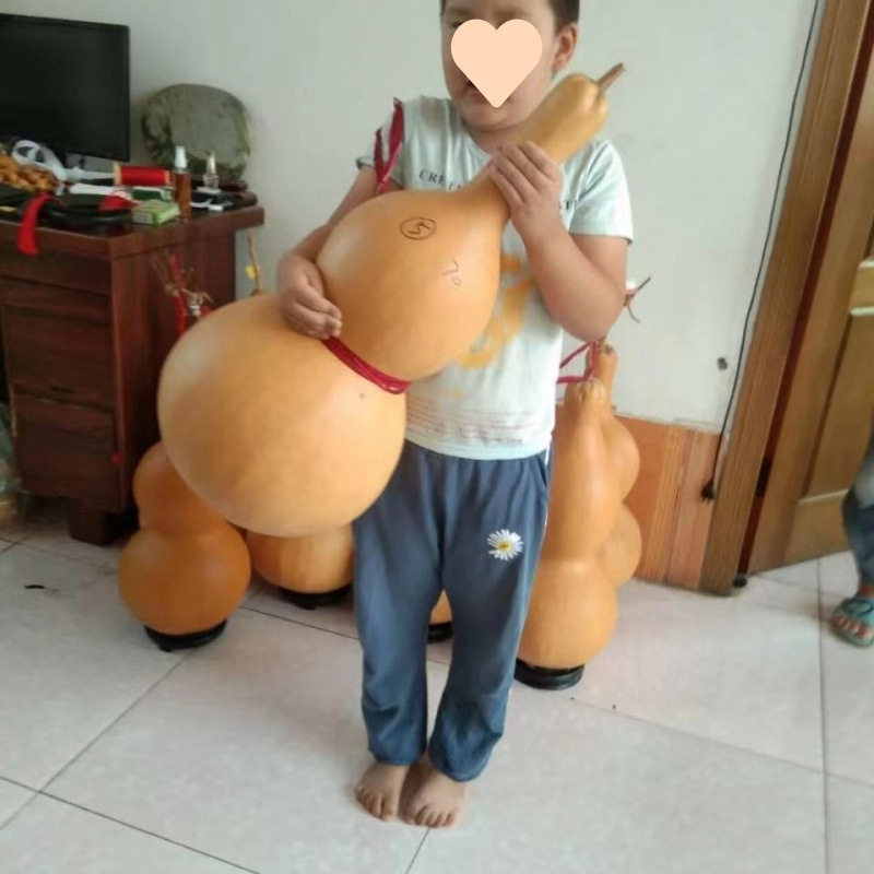 天然葫芦大中小号福禄八宝压腰挂件客厅卧室办公室摆件真葫芦龙头