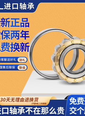 日本GAL进口圆柱滚子轴承N2304 N2305 N2306 N2307 N2308EM