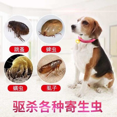 Flea collar dog and cat antiflea products dedicated to