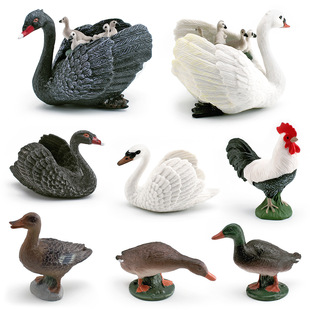 仿真家禽动物鸡模型儿童认知绿头鸭灰鸭黑白天鹅公鸡摆件玩具