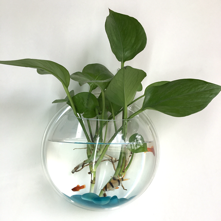 创意微景草缸花盆壁挂式挂饰悬挂水培花器墙上装饰品工艺花瓶鱼缸