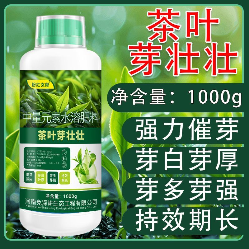 茶叶芽催芽专用提前出密