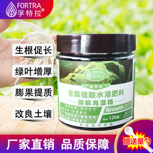 酶解海藻精家庭园艺生根粉海藻酸绿叶促长花肥阳台种菜养花叶面肥