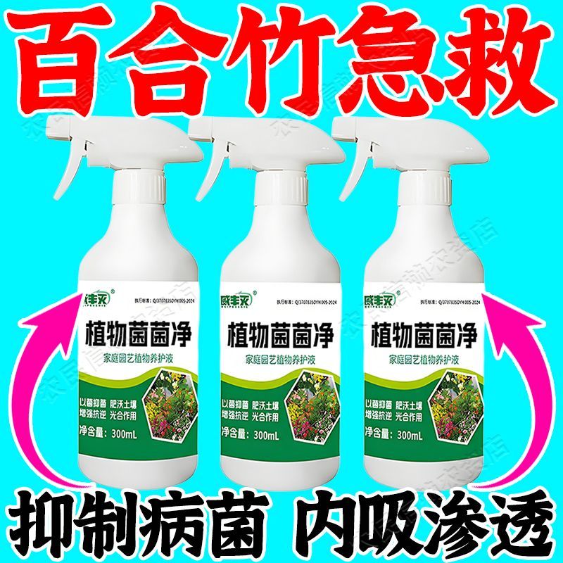 百合竹黄叶病专用肥防焦图片
