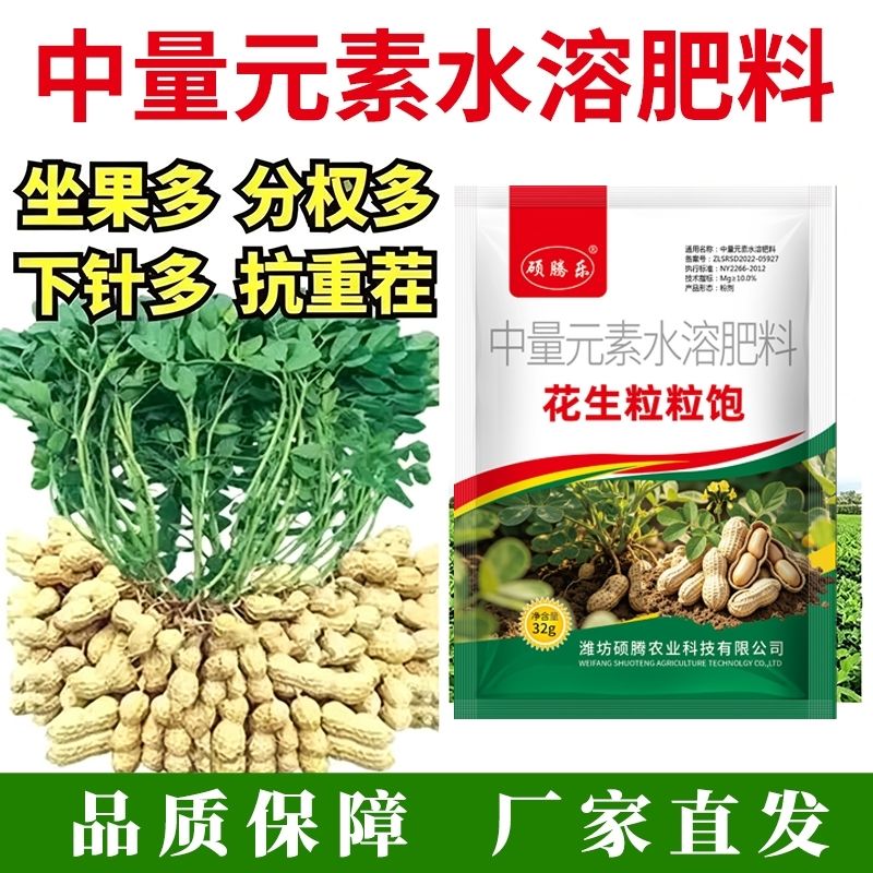 硕腾乐3号花生粒粒饱膨大