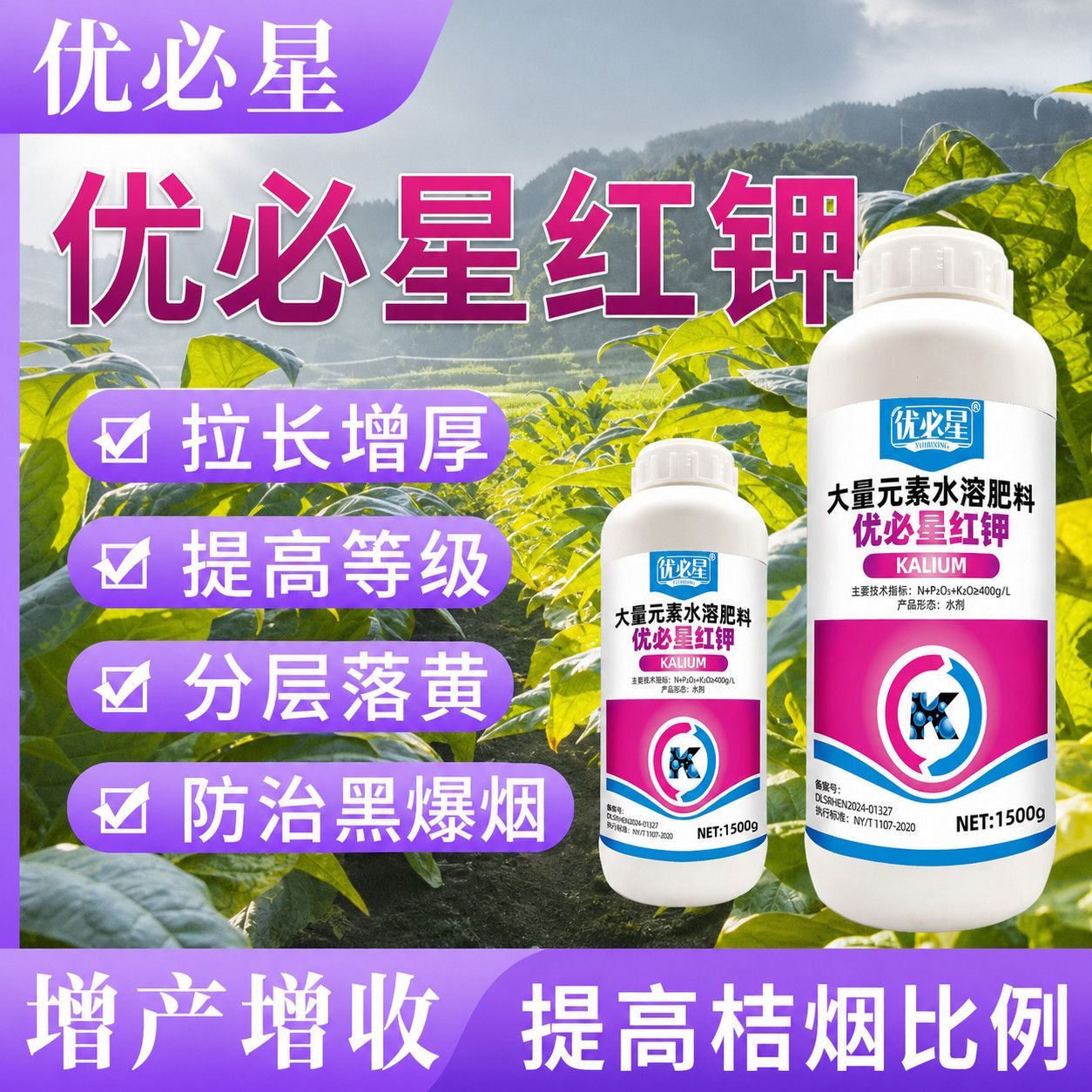 烤烟落黄钾优必星红保证