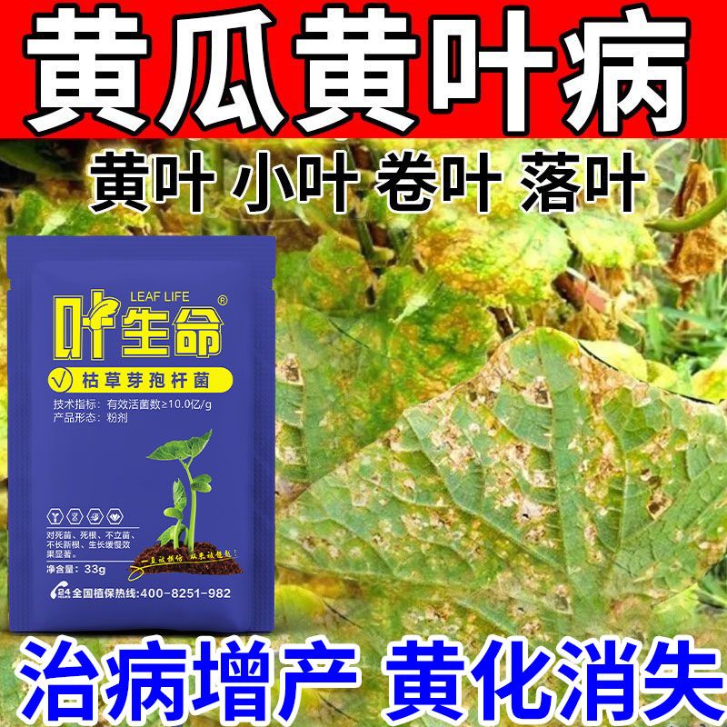 急救黄瓜黄叶病专用靶斑