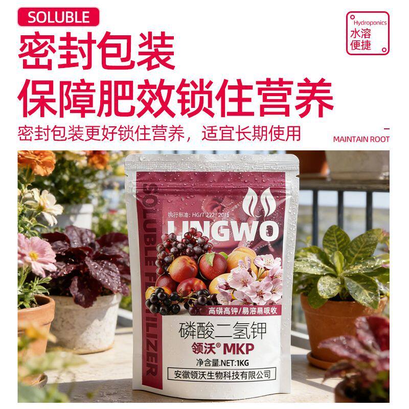 家庭园艺磷酸二氢钾肥料
