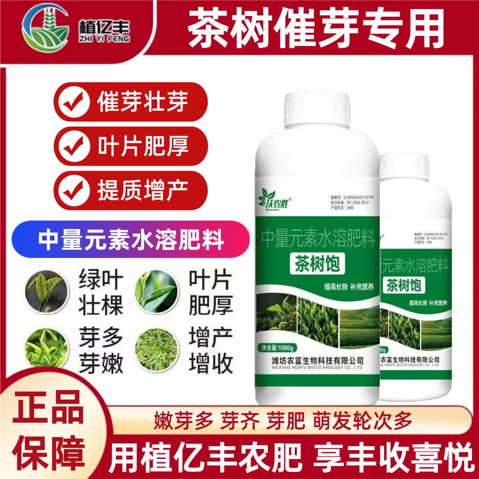 茶叶专用正品茶树饱催芽
