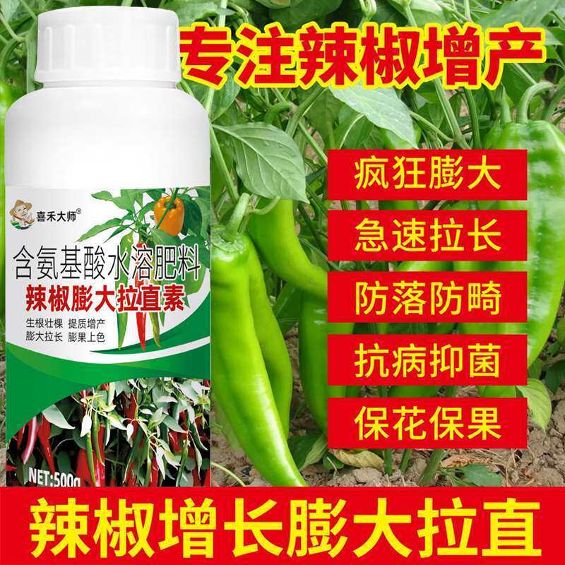 辣椒膨大拉直拉长增产增