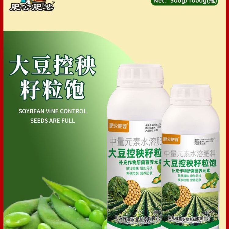 肥公肥婆大豆控秧籽粒饱