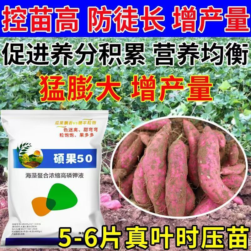 土豆红薯大蒜控旺药叶面肥