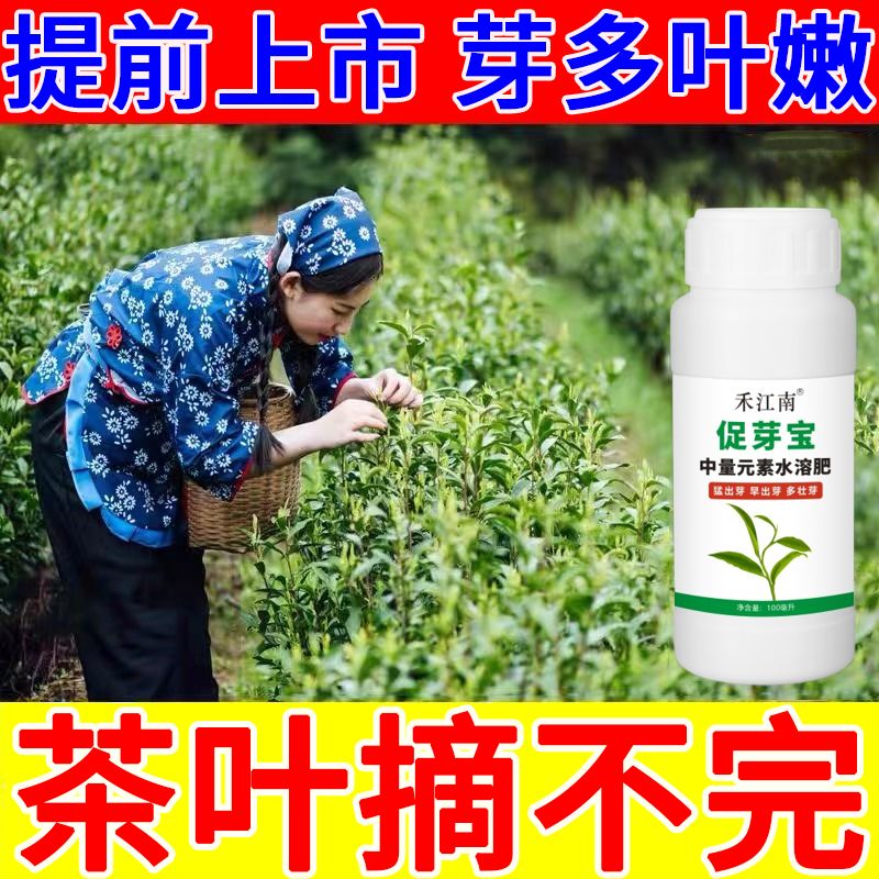 茶叶催芽王树专用肥剂多