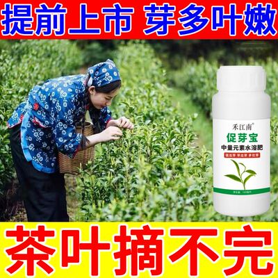 茶叶催芽王树专用肥剂多