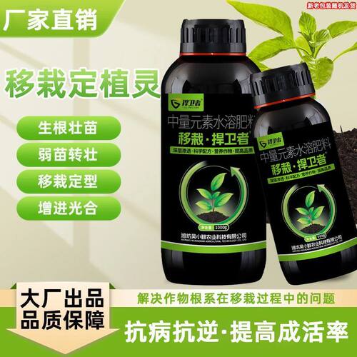 移栽捍卫者植物定苗增加