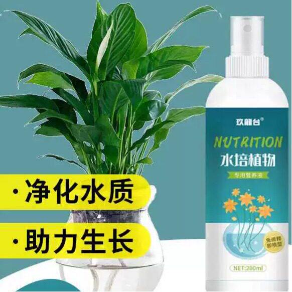 水培植物专用营养液免稀释盆栽花卉绿萝富贵竹壮苗生根液体花肥料