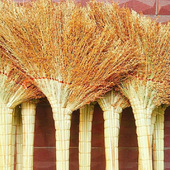 高粱扫把老式 加厚手工扫地笤帚工地家用学校环卫户外结实耐用