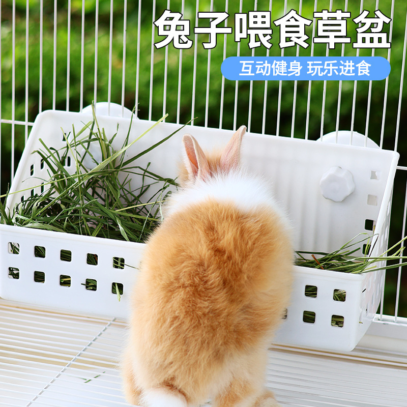 兔子草架果蔬篮喂食器草筐草料架互动喂食娱乐解闷清理方便蔬菜篮