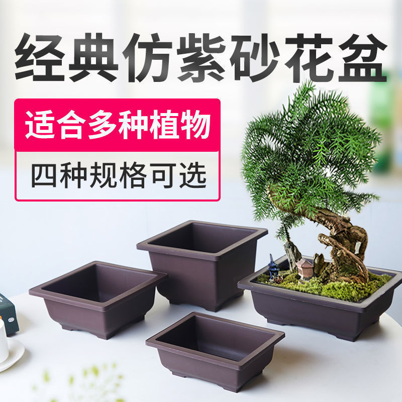 仿紫砂花盆超大长方形塑料花盆黑方多肉矮盆种植盆景育苗生石花盆