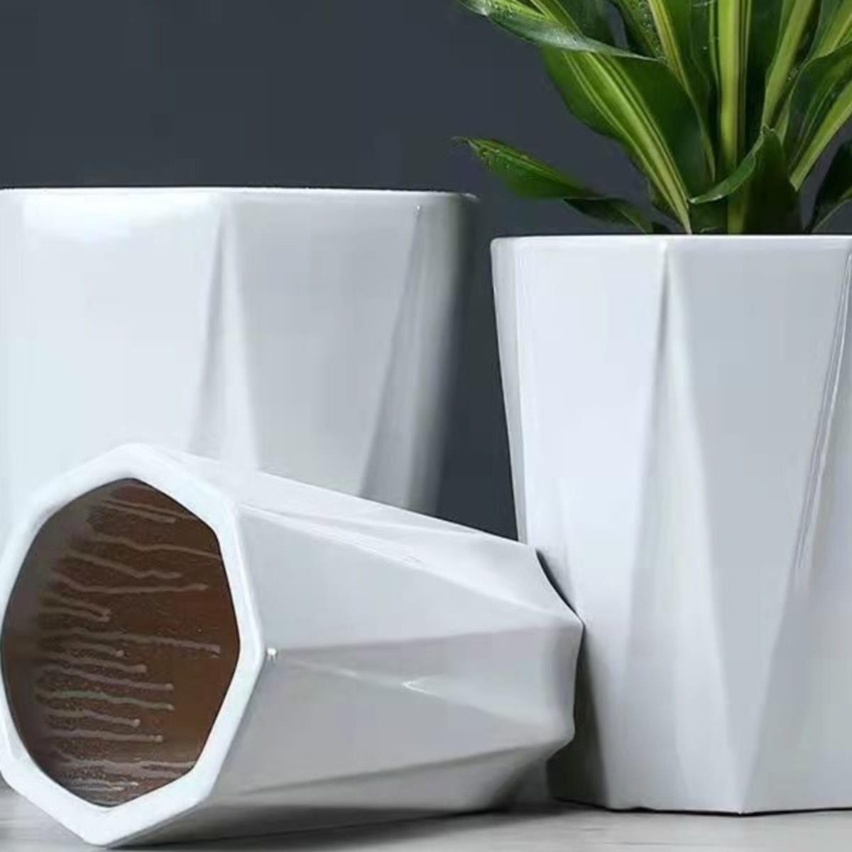 陶瓷花盆特大号带托盘多肉花盆欧式简约白色绿萝家用舒适实用花盆