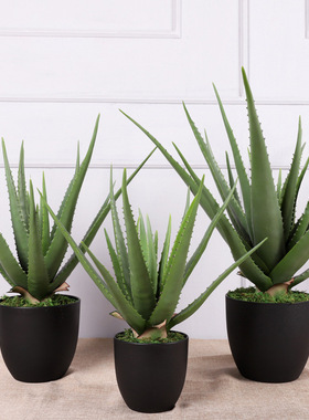 北欧仿真芦荟盆栽 室内家居装饰大盆多肉摆件 仿真绿植芦荟