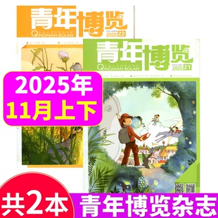 2025年1 文学文摘 12期 意林博览中外文摘读者青年彩版 青年博览杂志 22期 2025年21