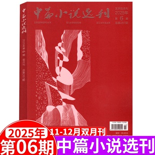 中篇小说选刊杂志2025年第1 3期 2024年增刊2上市 12月 总262期 双月刊文学中长篇小说散文集文学文摘 2025年第6期11
