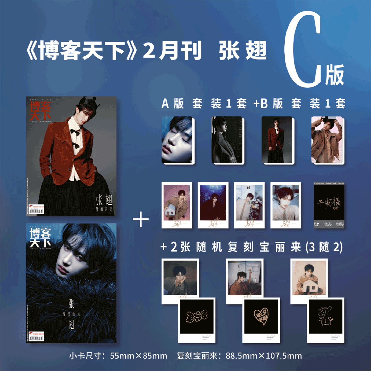 计入销量！ 博客天下 2月刊 张翅封面C版: A版+B版套装+2张复刻宝丽来 博客天下杂志2026年2月/二月刊 张翅 温柔的壳