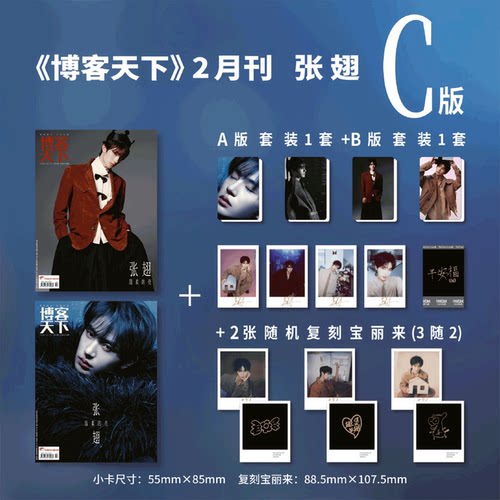 计入销量！ 博客天下 2月刊 张翅封面C版: A版+B版套装+2张复刻宝丽来 博客天下杂志2026年2月/二月刊 张翅 温柔的壳