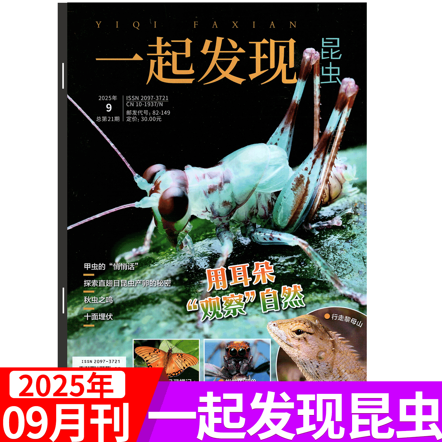 一起发现昆虫杂志科普百科