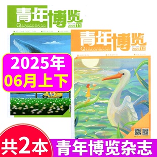 2025年11 青年博览杂志 意林博览中外文摘读者青年彩版 2025年1 12期 文学文摘