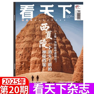 2025年1 西夏陵 王楚欽 35期 孫穎莎 Vista看天下雜志2025年7月28日 2025年20期